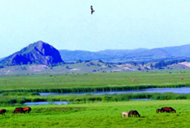 赤峰乌兰宝通古战场天气