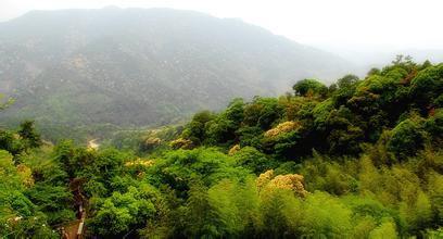 永定东华山天气